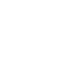 Development & Design